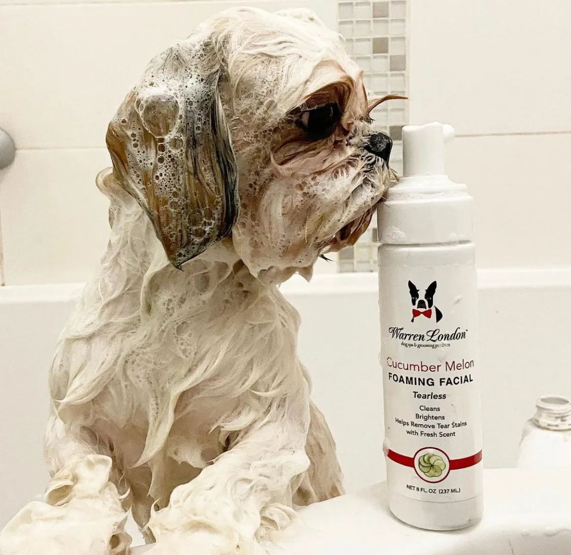 Cucumber Melon Foaming Facial For Dogs