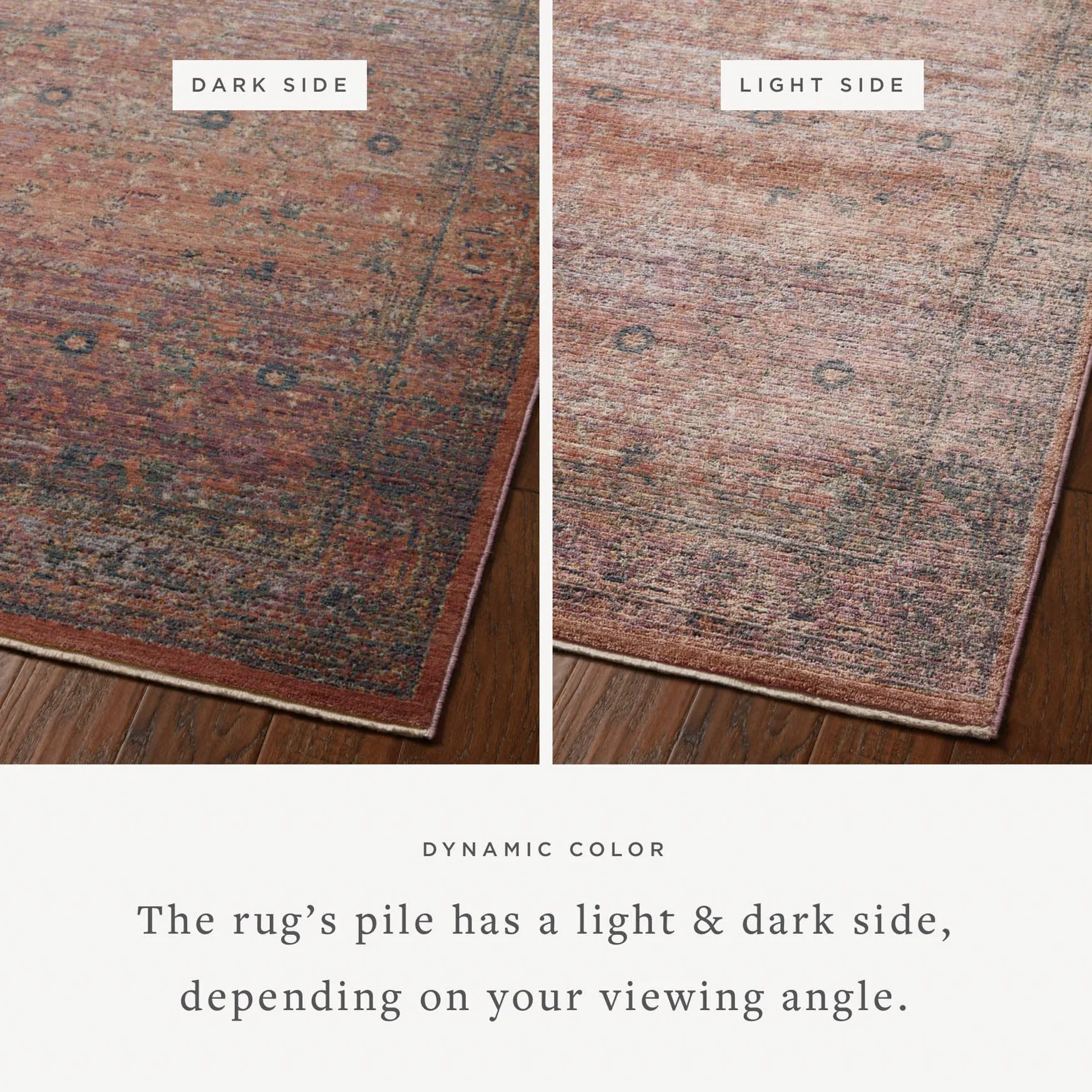 Jean Stoffer x Loloi Bradbury Rug - Sunset Multi