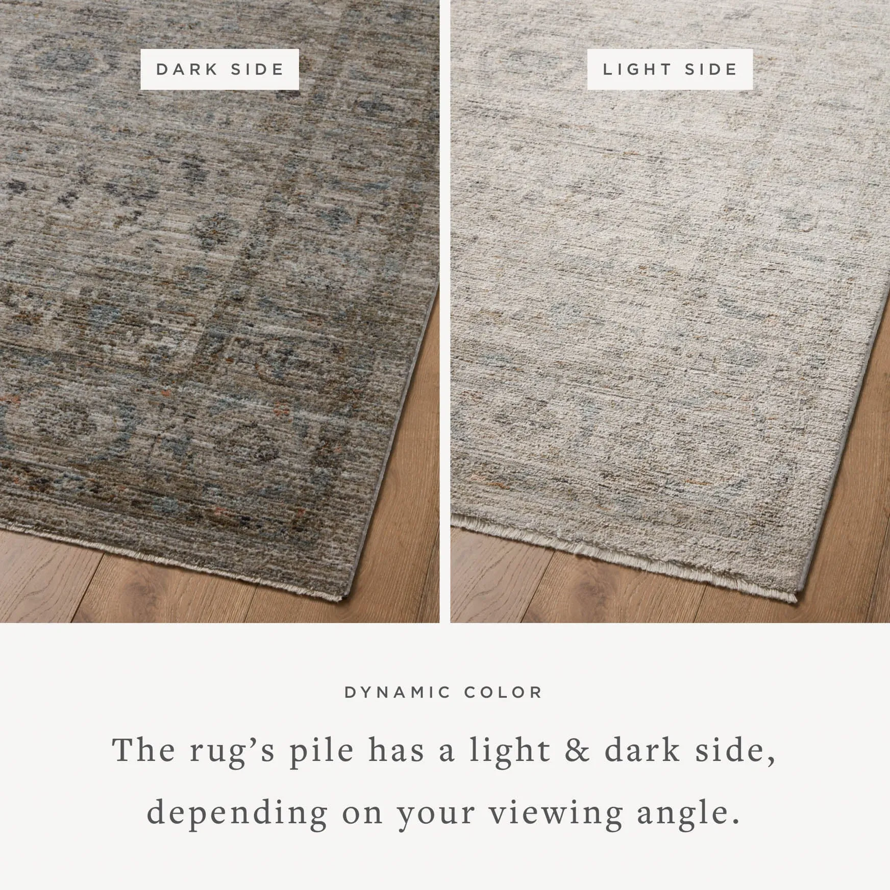 Jean Stoffer x Loloi Katherine Rug - Beige Mist