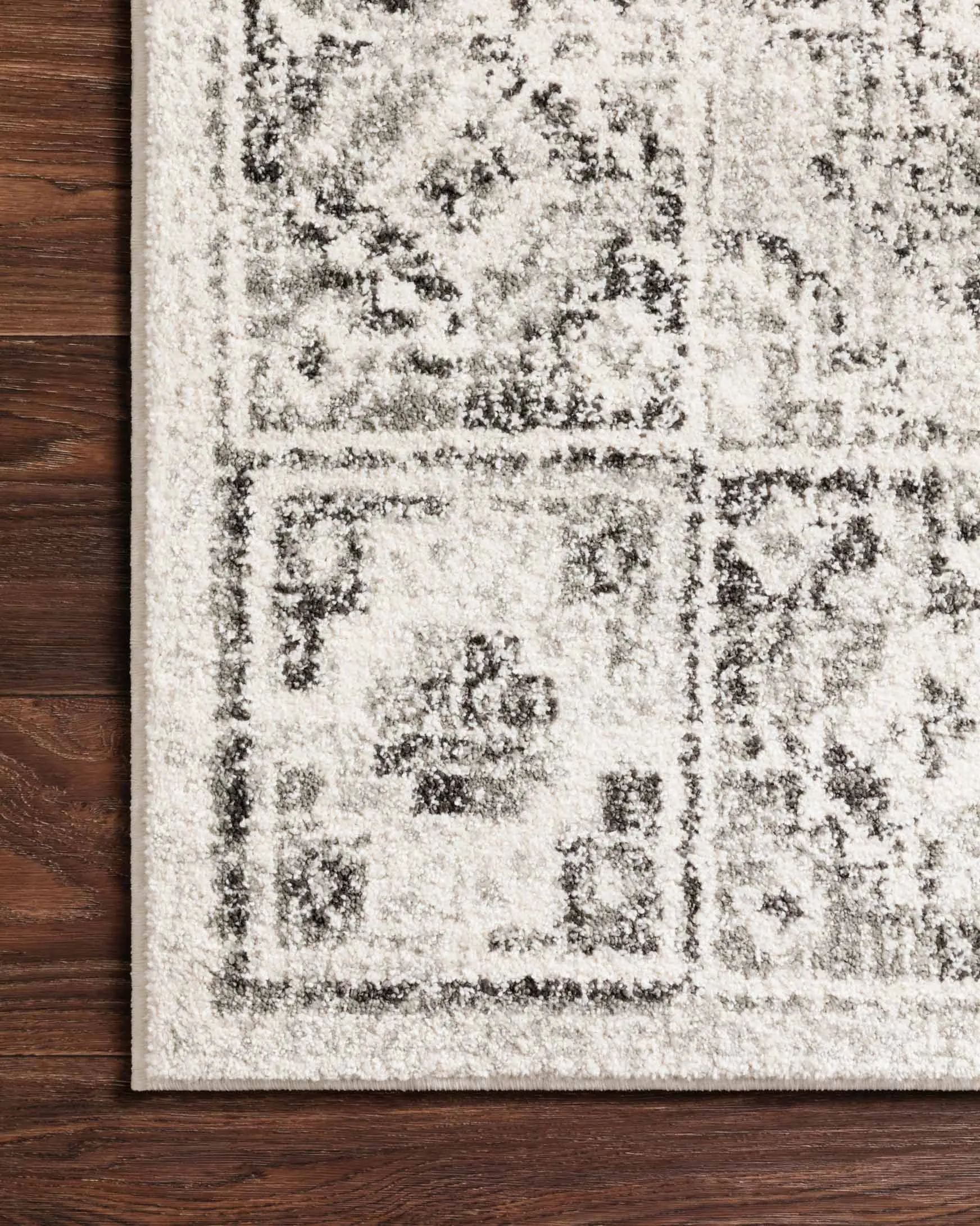 Joaquin Rug in Ivory & Charcoal by Loloi