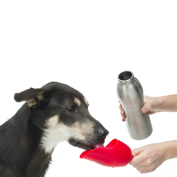 KONG H20 Stainless Steel Bottle for Dogs 740ml