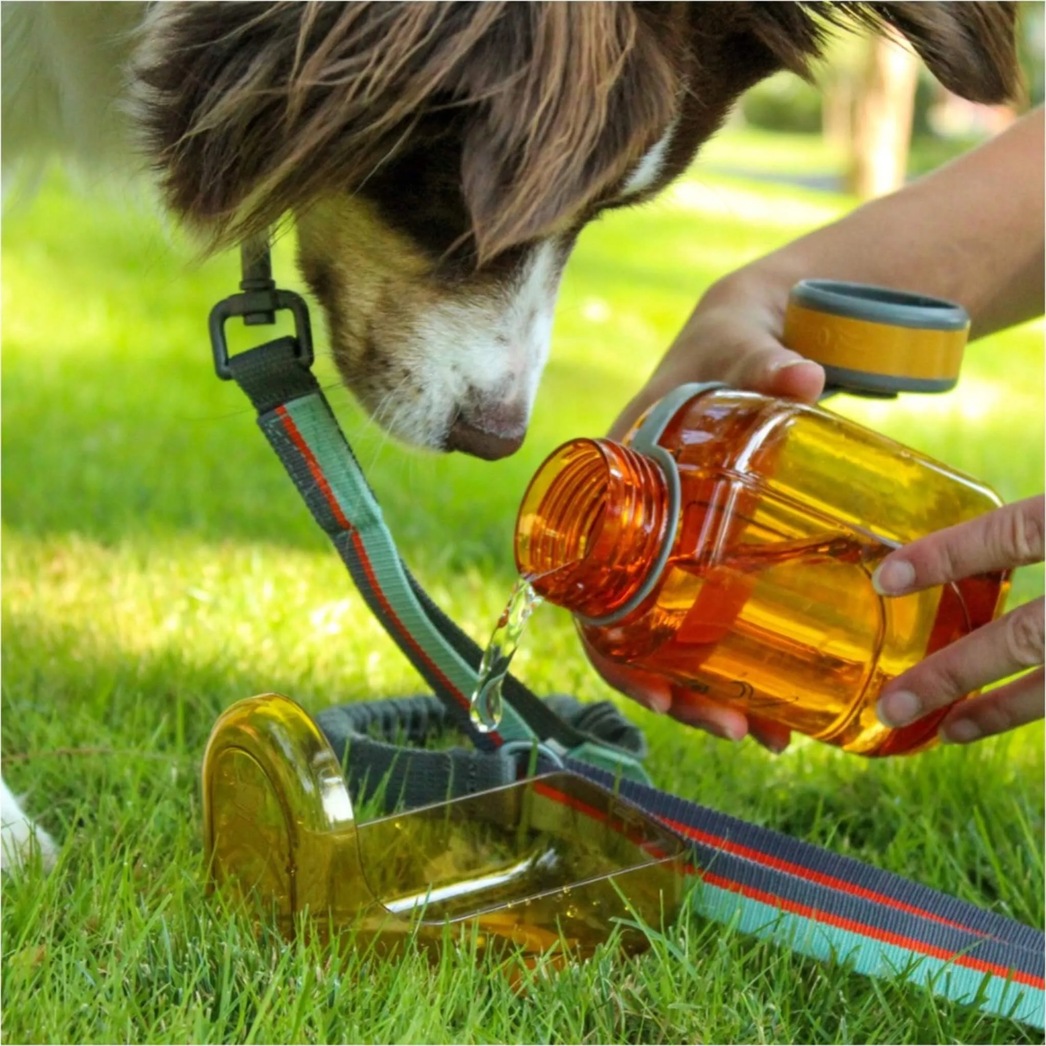 OllyBottle Portable Water Dispenser